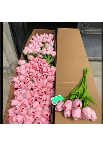 6lı Vazoya Koymalık Sarı Lale