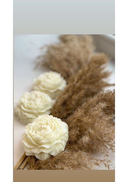 Candle El Yapımı Kokusuz Açmış Şakayik Gül Dekoratif Mum– Kırık Beyaz -7 cm 3'lü