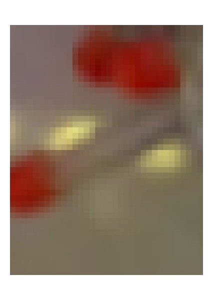 10M 100 LED Damla Uçlu LED Işık Kırmızı Işık Şeffaf Kablo fiyatları