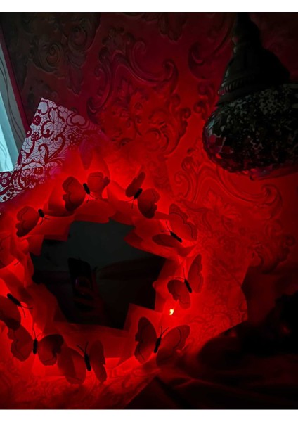 Kırmızı Kelebek Buketi