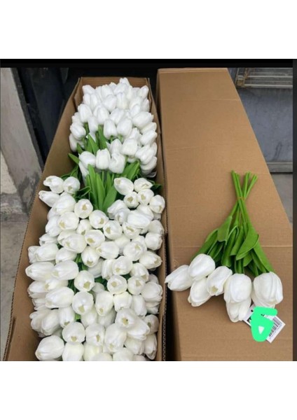 6lı Vazoya Koymalık Sarı Lale