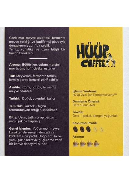 x Fermente Kahve - No:3 - Orman Meyveleri Tadım Notalı Craft Filtre Kahve (Çekirdek) - 250GR fiyatları
