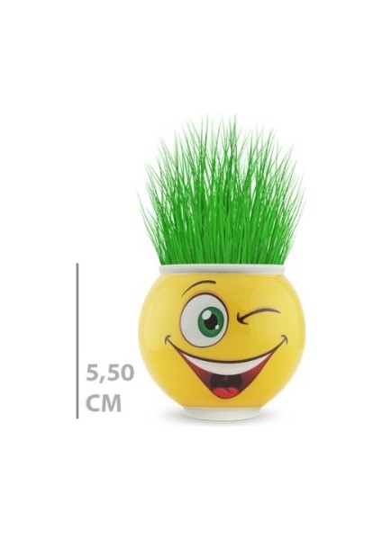 Çim Adam Saksı Emoji Figürlü 1 Adet fiyatları