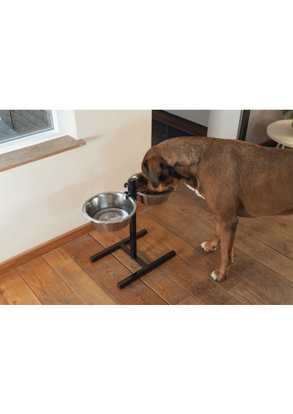 Lvsqvr Beeztees Köpek Ikili Mama Su Kabı, Ayaklı, Paslamaz Çelik, 28CM, 2x4,5l fiyatları