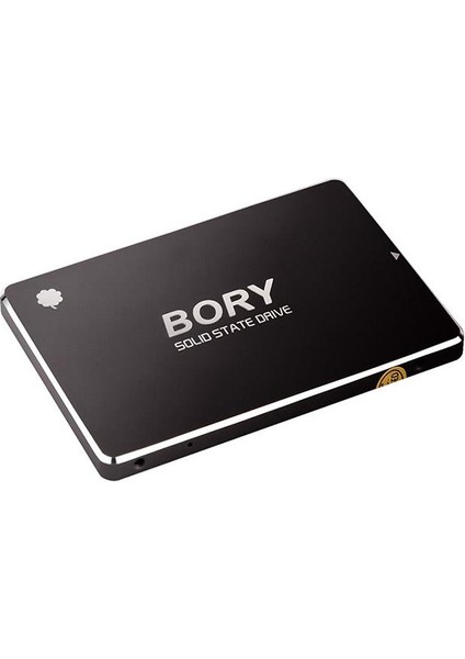 512 GB Bory Sata3 R500-C512G SSD 550/510 Mbs (3 Yıl Garantili)