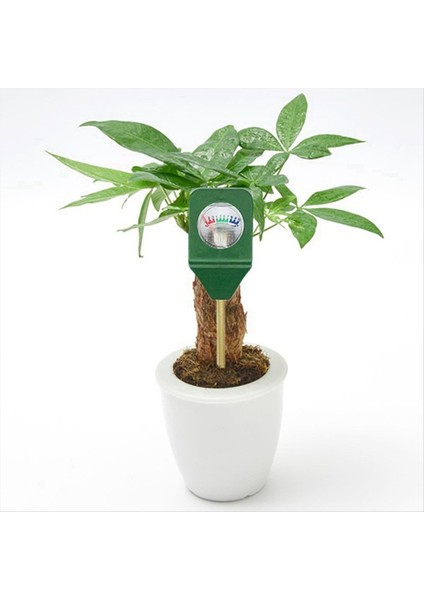 10 Adet Taşınabilir Toprak Nem Sensörü Monitörü Mini Saksı Toprak Analizörü (Yurt Dışından) modelleri