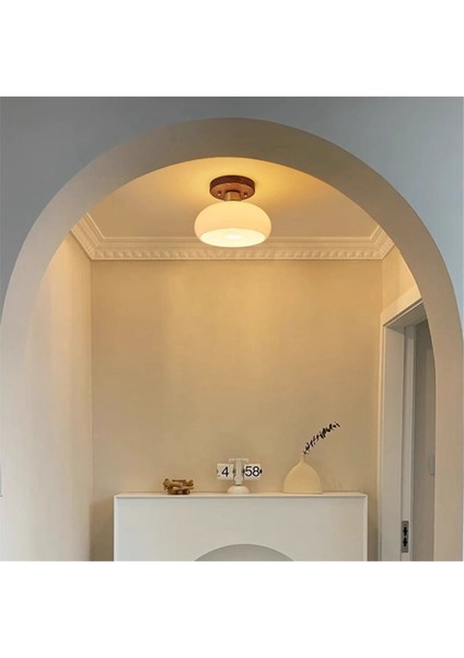 Çin Koridor Koridor Işık Lüks Ceviz Çin Tavan Işık Retro Giriş Kapısı Sundurma Balkon Işık (Yurt Dışından) fiyatları