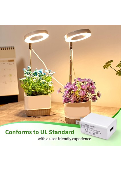 Bitki Büyüme Işığı Iç Mekan Bitkileri Için LED Büyüyen Işık Küçük Bitkiler Için Zamanlayıcılı 2 Kafa Ayarlanabilir Lik Büyüyen Lamba (Yurt Dışından) fiyatları