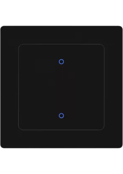 Alexa Google Home 2-Gang Için Tuya Wifi Işık Anahtarı Uygulaması Uzaktan Kumandası (Yurt Dışından)