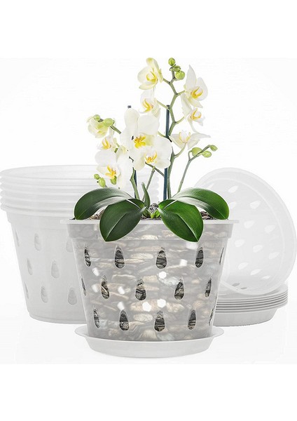 Orkide Saksıları - 7 Inç - 5 Saksı ve Tabak, Delikli Orkide Saksıları ve Yeniden Saksılama Için Şeffaf Plastik Orkide Saksıları (Yurt Dışından) fırsatları