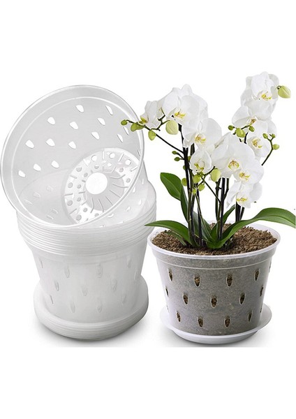Orkide Saksıları - 7 Inç - 5 Saksı ve Tabak, Delikli Orkide Saksıları ve Yeniden Saksılama Için Şeffaf Plastik Orkide Saksıları (Yurt Dışından) indirimleri