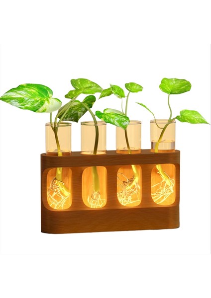 9 Hız Ayarlanabilir LED Işıklı Bitki Yayılım Istasyonu Ahşap Standlı Bitki Teraryumu 4 Test Tüpü Vazo (Yurt Dışından)