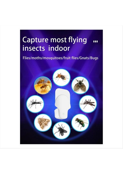 Kapalı Meyve Sineği Tuzağı Ev Için Etkili Böcek Kontrolü Uçan Böcekleri Çeker ve Yakalar Yumuşak Işık Yayar Abd (Yurt Dışından) fiyatları