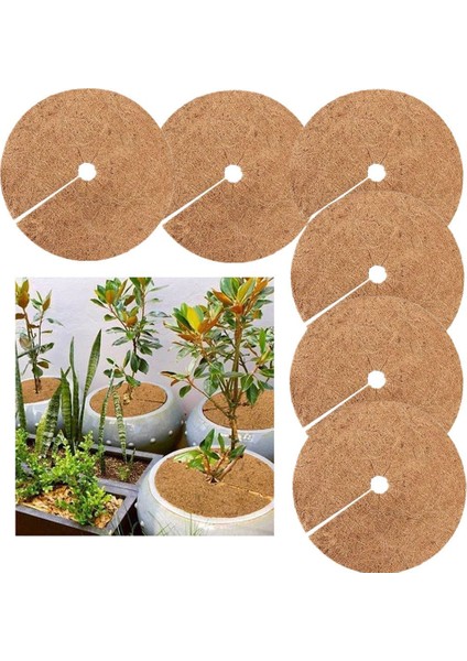 Hindistan Cevizi Lifi Bitki Örtüsü, Malç Matı, Yabani Ot Kontrolü Kumaşı, Saksı Halkası, Hindistan Cevizi Ağacı Gövde Koruyucusu, Saksı Kök Koruması (Yurt Dışından) fiyatları