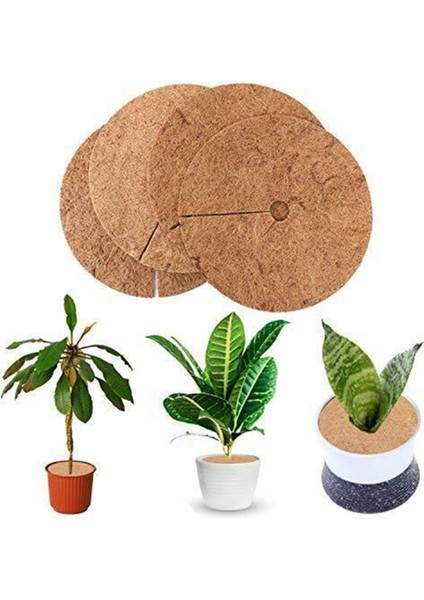 Hindistan Cevizi Lifi Bitki Örtüsü, Malç Matı, Yabani Ot Kontrolü Kumaşı, Saksı Halkası, Hindistan Cevizi Ağacı Gövde Koruyucusu, Saksı Kök Koruması (Yurt Dışından) fırsatları