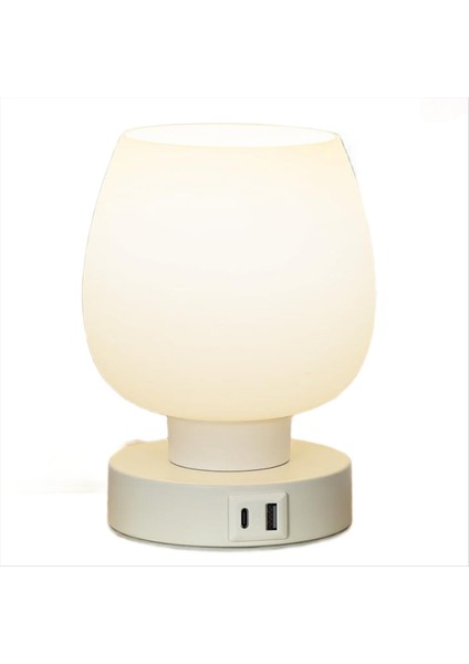 USB C+A Şarj Portları ile Yatak Odası Için Dokunmatik Başucu Masa Lambası Small Lambası 3 Yollu Dimmabable, Güncellik Masa Lamba Us Fug (Yurt Dışından)