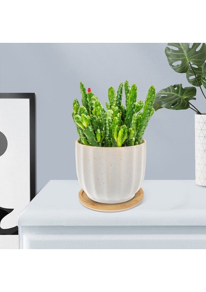 Bambu Bitki Tabağı 3,3 Inç Sukulent Saksı Tepsisi Çiçek Bitki Tutucu, Yuvarlak Drenaj Tepsisi 12'li Paket (Yurt Dışından) modelleri