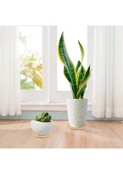 Bambu Bitki Tabağı 3,3 Inç Sukulent Saksı Tepsisi Çiçek Bitki Tutucu, Yuvarlak Drenaj Tepsisi 12'li Paket (Yurt Dışından) indirimleri