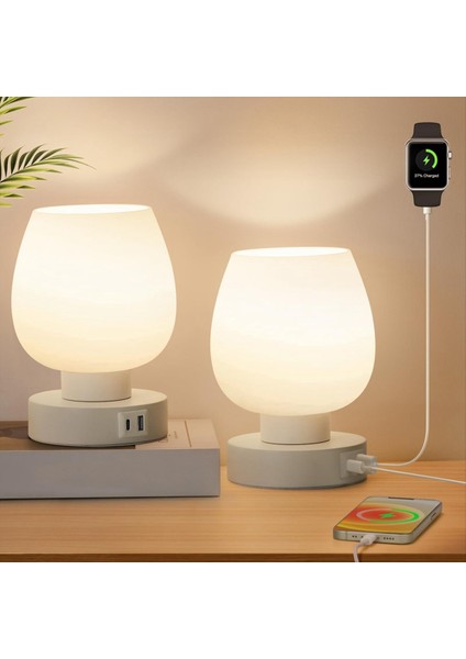 USB C+A Şarj Portları ile Yatak Odası Için Dokunmatik Başucu Masa Lambası Small Lambası 3 Yollu Dimmabable, Güncellik Masa Lamba Us Fug (Yurt Dışından) modelleri