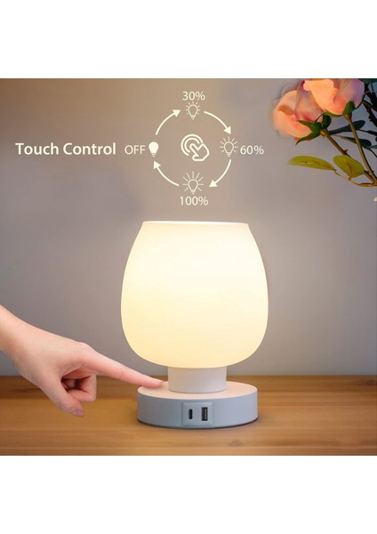 USB C+A Şarj Portları ile Yatak Odası Için Dokunmatik Başucu Masa Lambası Small Lambası 3 Yollu Dimmabable, Güncellik Masa Lamba Us Fug (Yurt Dışından) fırsatları