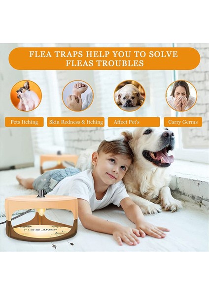 4x Böcek Tuzağı Yapışkan Ampul Tahtakuru Tuzağı Yapışkan Diskler ile Ampul Elektrikli Kapalı Lamba Yakalayıcı Ab Tak (Yurt Dışından) indirimleri