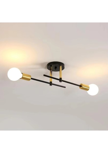 Sıcak Satış 2-Işık Basit Dekorasyon Modern Avizeler Tavan Lambası Gömme Montajlı Kapalı Oda Işıkları Tavan (Yurt Dışından) modelleri