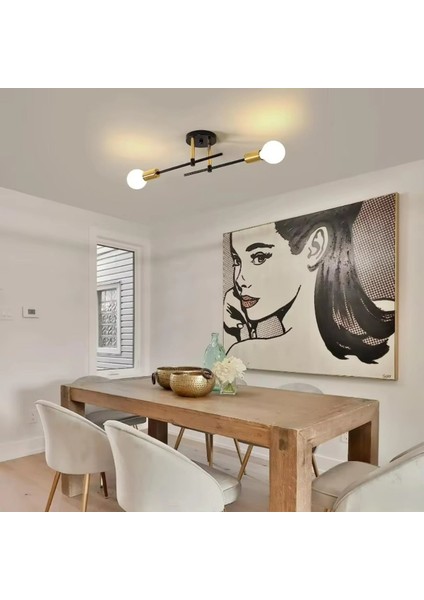 Sıcak Satış 2-Işık Basit Dekorasyon Modern Avizeler Tavan Lambası Gömme Montajlı Kapalı Oda Işıkları Tavan (Yurt Dışından) fırsatları