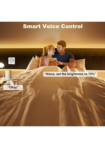 Döner Cam Panel Sabit Voltaj LED Kontrolör Dc 12V 24V Akıllı Dimmer Wifi Tuya Uygulama Bulut Kontrolü Siyah (Yurt Dışından) modelleri