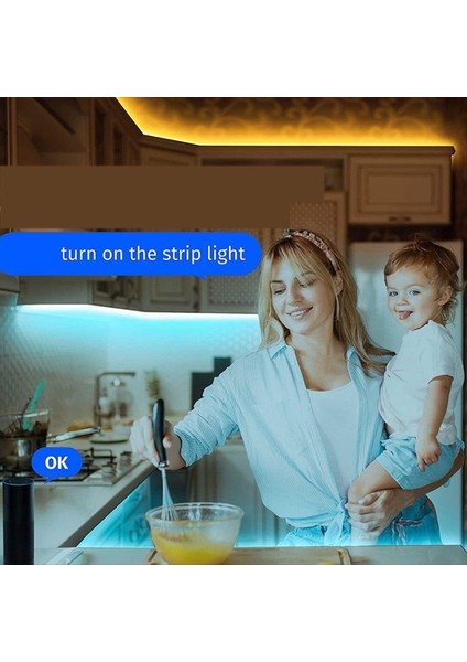 Tuya Zigbee LED Denetleyici 5in1 Rgb Cct Rgbw Rgbcct Dc 12V 24V 15A LED Şerit Işık Akıllı Yaşam Ses Alexa Ev Wz5 (Yurt Dışından) modelleri