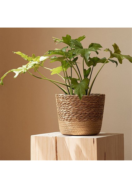 Hasır Örgü Çiçek Saksısı Hasır Sepet Rattan Saksı Saklama Sepeti El Yapımı Dokuma Saksı Sepeti L (Yurt Dışından) fırsatları