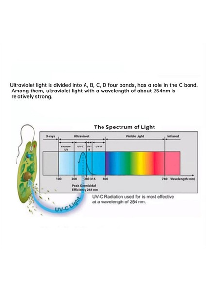 16W Paslanmaz Çelik Uv Su Sterilizatörü Ultraviyole Tüp Lamba Doğrudan Içme Dezenfeksiyon Akvaryum Balık Tankı Arıtma(Ab) (Yurt Dışından) fırsatları