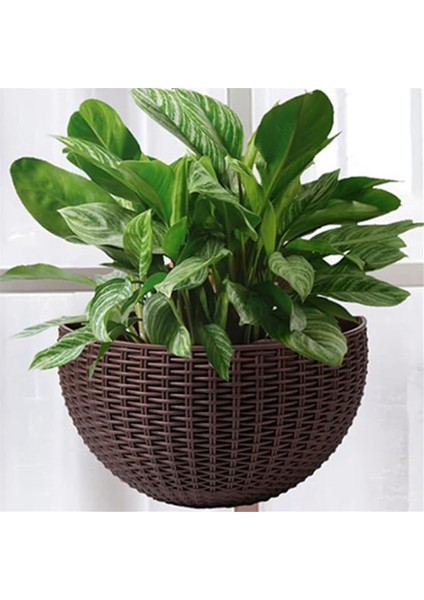 Gri Büyük Avrupa Tarzı Taklit Rattan Duvara Monte Yarım Daire Saksı Tembel Saksı (Yurt Dışından) indirimleri