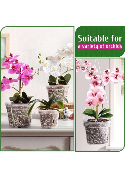 9'lu Paket Şeffaf Saksı, Yeniden Saksılama Için Delikli, Her Birinden 3 Adet, 4,8, 5,7 ve 6,4 Inç, Plastik Çiçek Saksısı, Iç Mekan, Dış Mekan (Yurt Dışından) indirimleri