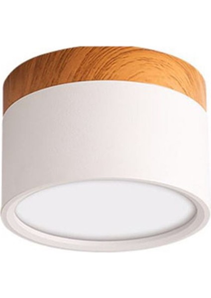 LED Sıva Üstü Tavan Sıva Altı Kapalı Fuaye Oturma Odası Beyaz Için Nordic Spot Işık (Yurt Dışından)