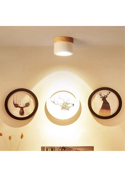 LED Sıva Üstü Tavan Sıva Altı Kapalı Fuaye Oturma Odası Beyaz Için Nordic Spot Işık (Yurt Dışından) fiyatları