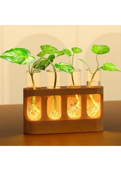 9 Hız Ayarlanabilir LED Işıklı Bitki Yayılım Istasyonu Ahşap Standlı Bitki Teraryumu 4 Test Tüpü Vazo (Yurt Dışından) fiyatları