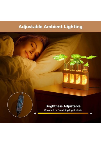 9 Hız Ayarlanabilir LED Işıklı Bitki Yayılım Istasyonu Ahşap Standlı Bitki Teraryumu 4 Test Tüpü Vazo (Yurt Dışından) fırsatları