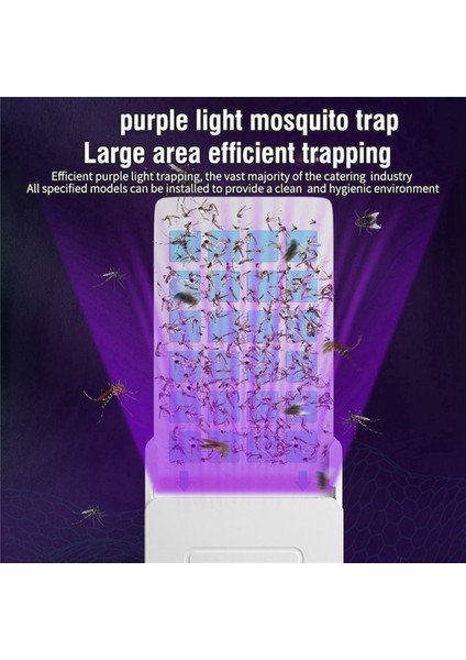 2x Sivrisinek Tuzakları Ev Kapalı Plug-In Sinek Böcek Tuzağı Olmayan Zapper Tuzakları Meyve Sineği Uçan Böcek Abd Plug (Yurt Dışından) fırsatları