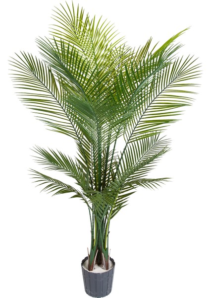 Yapay Palmiye Ağacı, Dış Mekan - Uv Korumalı, 17 Yaprak, 150 cm