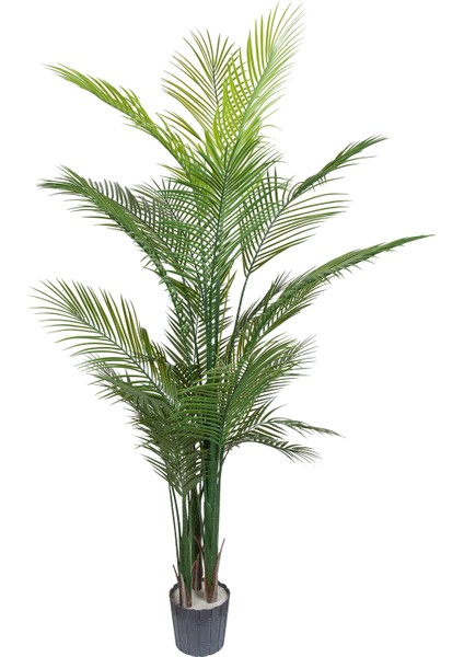 Yapay Palmiye Ağacı, Dış Mekan - Uv Korumalı, 24 Yaprak, 180 cm