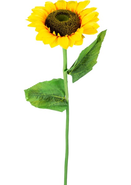 Yapay Ayçiçeği, Dal, Sarı-Yeşil - 30X95 cm