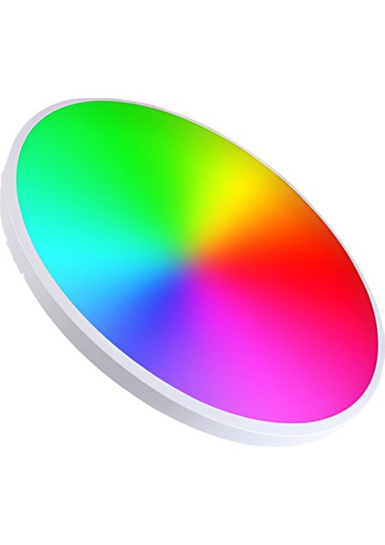 LED Tavan Lambası Kısılabilir Tuya Uygulamasına Uygulanabilir 24W Rgb Renk Değiştirme Oturma Odası Yatak Odası Için Akıllı LED Tavan Işık (Yurt Dışından)