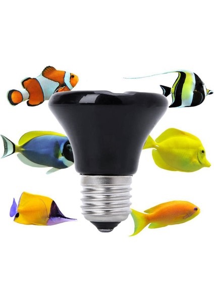 2x Sıcak 75 W E27 Pet Isıtma Lambası Siyah Kızılötesi Seramik Verici Isı Ampul Pet Brooder Sürüngen Lamba 220-230 V (Yurt Dışından) modelleri