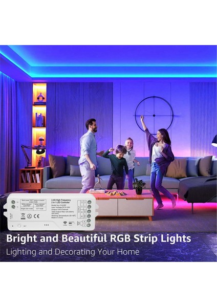 2 4g Wıfı Frekans 2 In 1 LED Denetleyici CH21W Cob Smd 5050 Dım Cct Rgb Rgbw Rgbcct LED Şerit Işık 12-24 V (Yurt Dışından) indirimleri