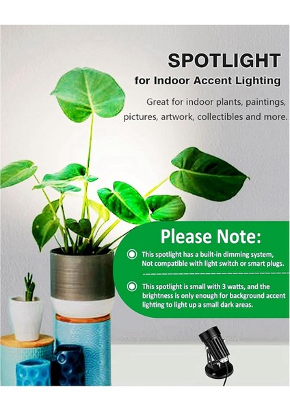 5x Spot Işıklar Iç Mekan Yukarı Işıklar Iç Mekan Zamanlayıcılı 3W Zemin Spot Işığı Iç Mekan Yukarı Aydınlatma 3000K/4000K/5000K Işık Abd Tak (Yurt Dışından) fırsatları