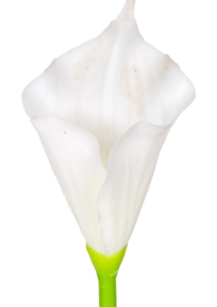 Yapay Calla Tek Dal Beyaz 35 Cm. fiyatları
