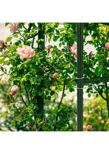 50 Adet Bitki Kafes Bağlantı Tokaları, Bastonlar Için Bahçe Kazıkları Kafes Klipsleri, Tırmanma Bitkileri Için Bahçe Destek Kazıkları (Yurt Dışından) modelleri