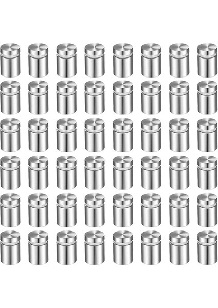 100 Paket Tabela Ayaklı Vidalar Reklam Vidaları Paslanmaz Çelik Duvar Ayaklı Montajlar Cam Akrilik Çivi (1/2 x 1 Inç) (Yurt Dışından)