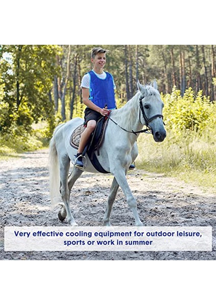 48 Parçalı Buz Paketi ile 2 Parçalı Soğutma Yeleği, Erkekler, Kadınlar, Sıcak Havalarda Çalışma, Koşu, Balıkçılık, Bisiklet Sürme Için Ayarlanabilir Buz Yeleği (Yurt Dışından) modelleri