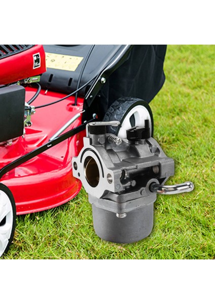 Briggs & Stratton 796077 Çim Biçme Makinesi Motoru Için Conta Yakıt Hattı Filtre Valfi ile 590399 Karbüratör Karbüratörü (Yurt Dışından) modelleri